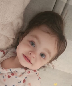Shay Rosa Assia